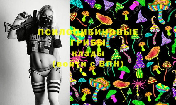 прущие грибы Балахна