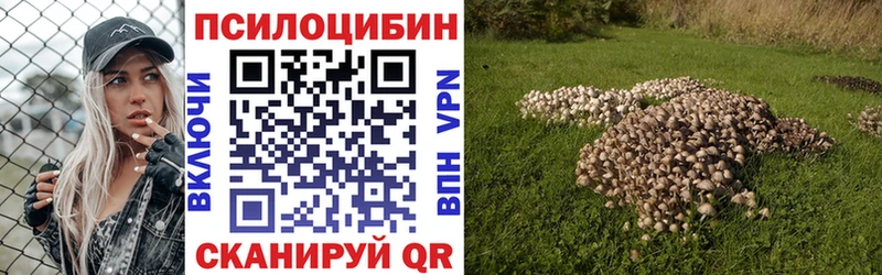 Галлюциногенные грибы мицелий  где купить наркоту  Тара 